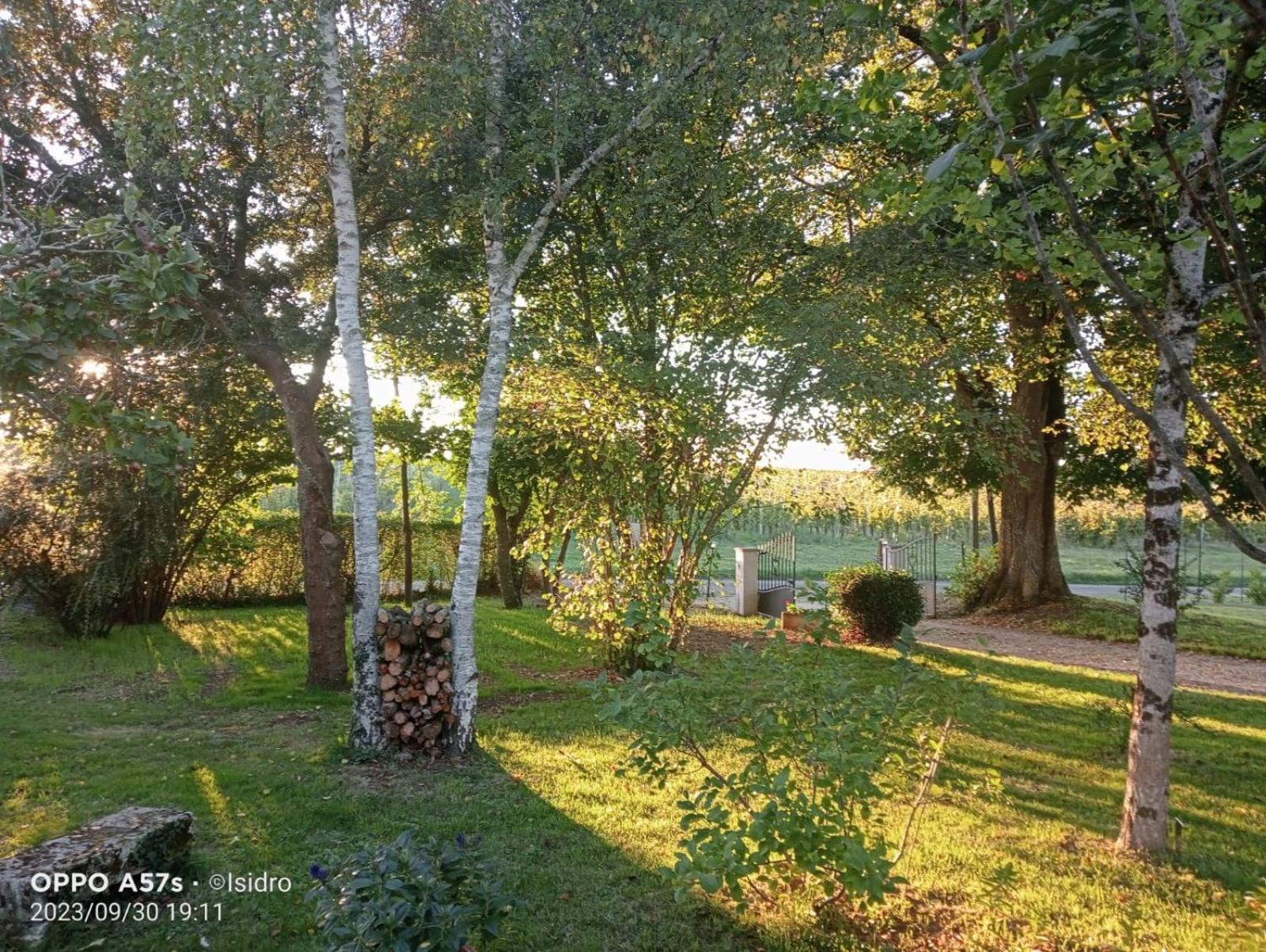 La Demeure D'Ezilda Villa Fleac-sur-Seugne Exterior photo